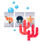 Dolphin's Pearl Theme