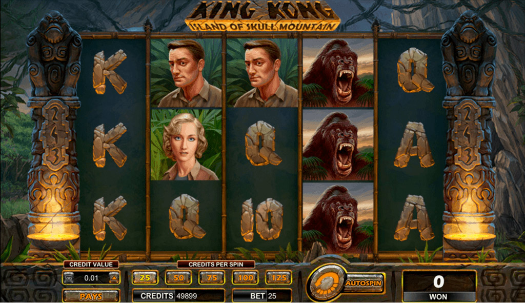 screenshot of the software section