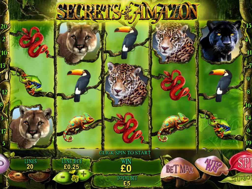 screenshot of the features section