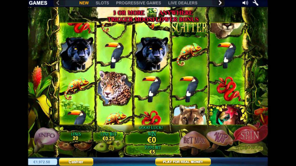 screenshot of the software section